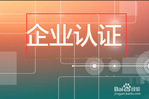 猛龙计划预测网平台介绍